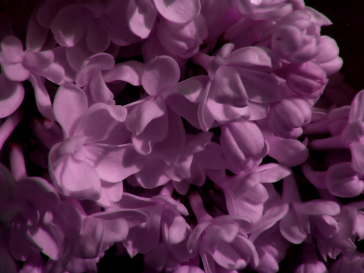 431026 (a): :1920x1440